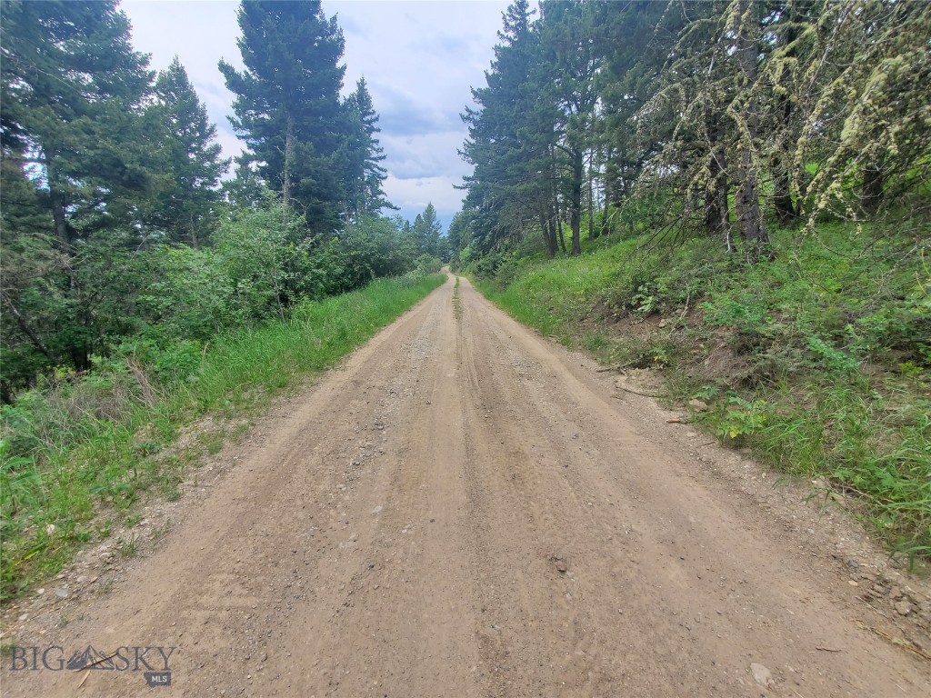 18203 Bear Tracks Road, Bozeman MT 59715