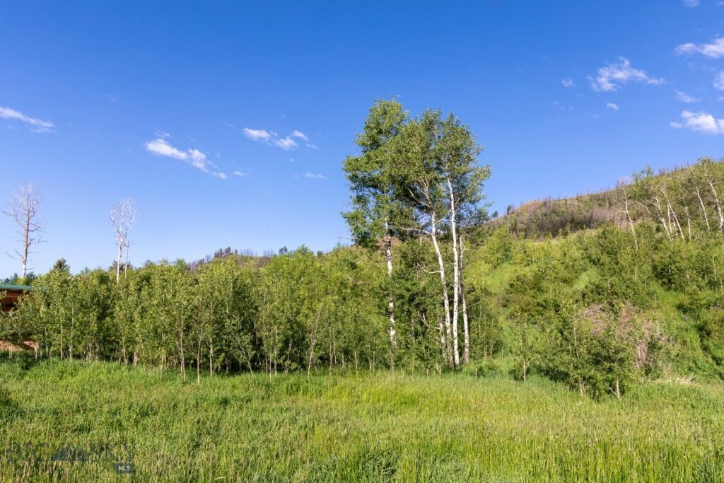 10421 Bridger Canyon Road, Bozeman MT 59715