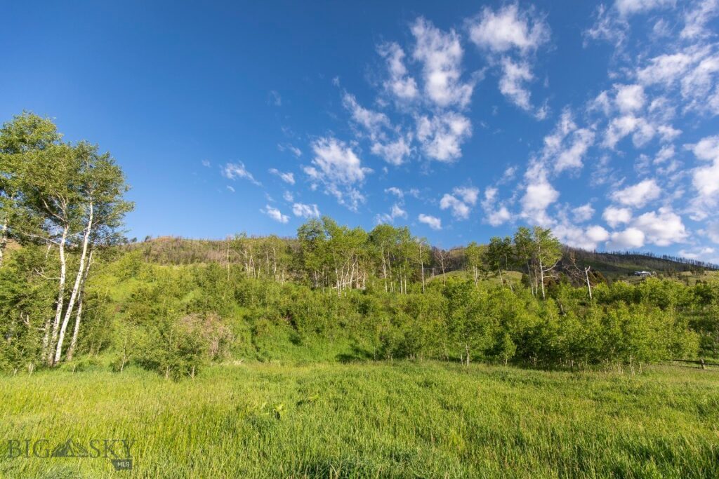 10421 Bridger Canyon Road, Bozeman MT 59715