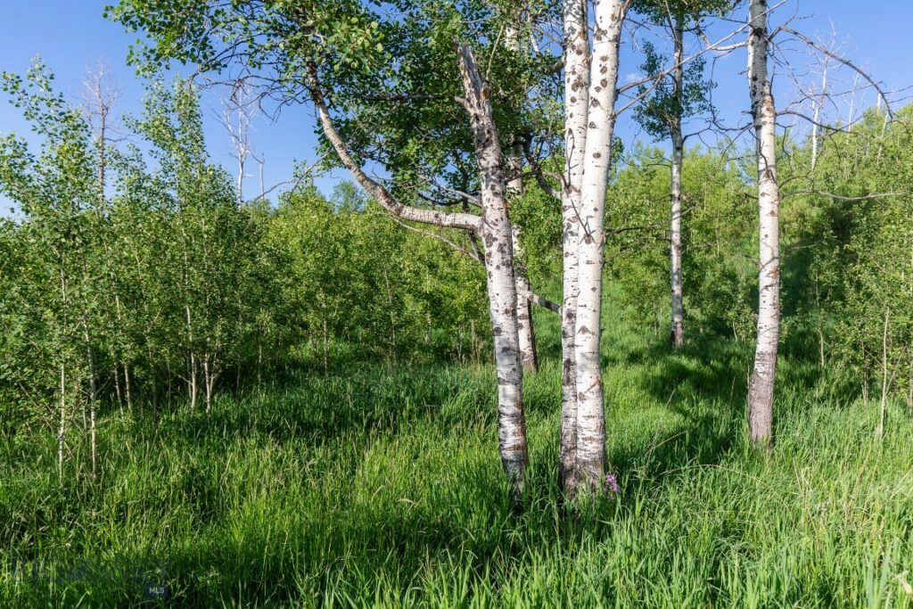 10421 Bridger Canyon Road, Bozeman MT 59715