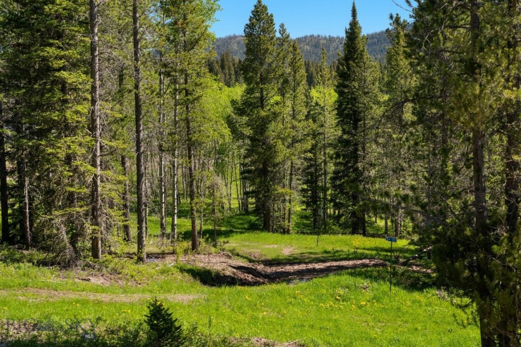 113 Bridger Meadow Trail, Bozeman MT 59715