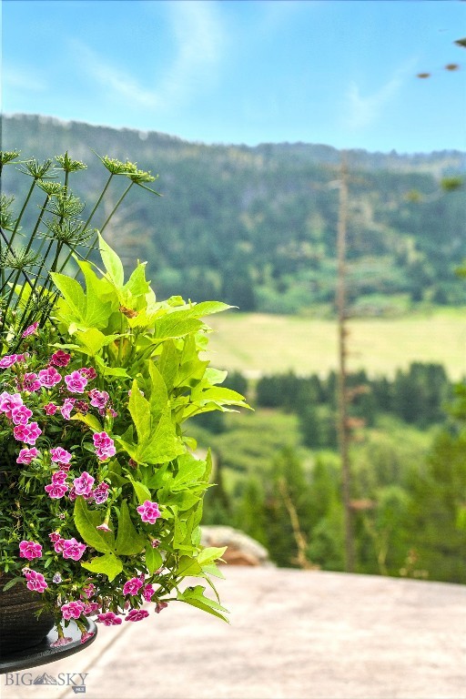 11310 Taiga Trail, Bozeman MT 59715