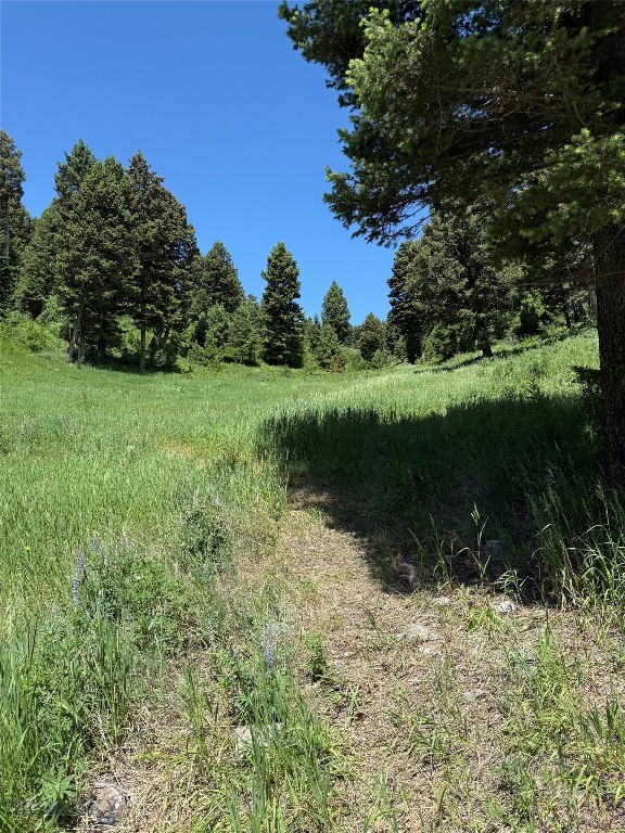14815 Pony Creek, Bozeman MT 59715