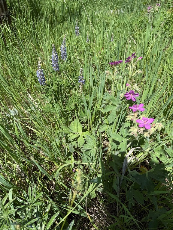14815 Pony Creek, Bozeman MT 59715