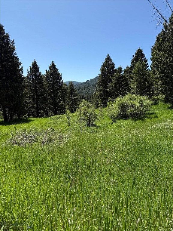 14815 Pony Creek, Bozeman MT 59715