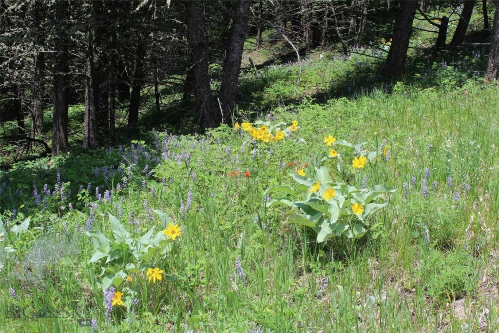 14815 Pony Creek, Bozeman MT 59715