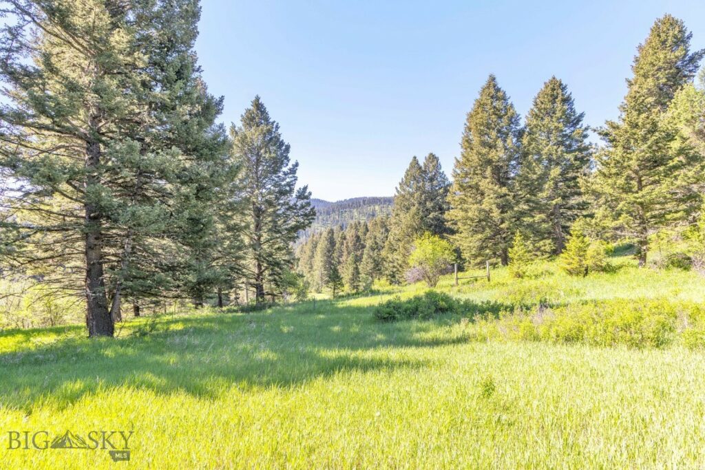 14815 Pony Creek, Bozeman MT 59715
