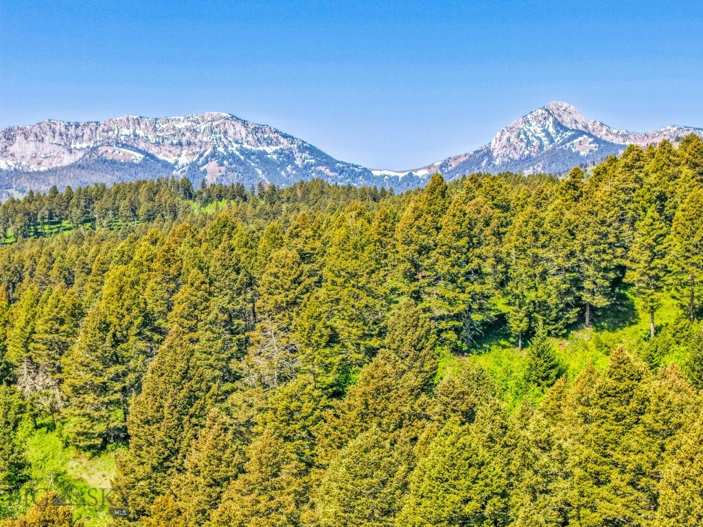 14815 Pony Creek, Bozeman MT 59715