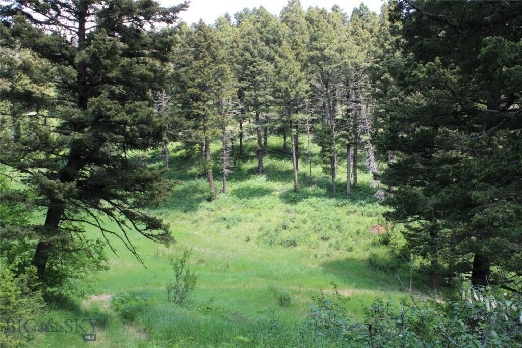 14815 Pony Creek, Bozeman MT 59715