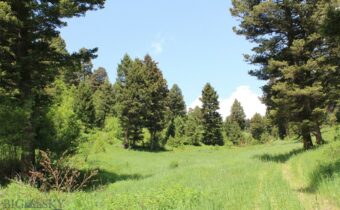 14815 Pony Creek, Bozeman MT 59715