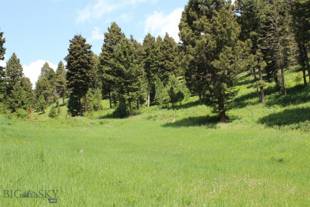 14815 Pony Creek, Bozeman MT 59715