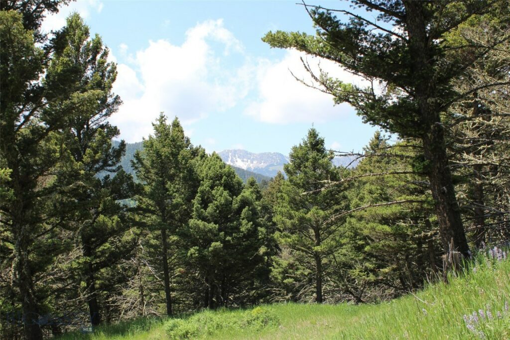 14815 Pony Creek, Bozeman MT 59715