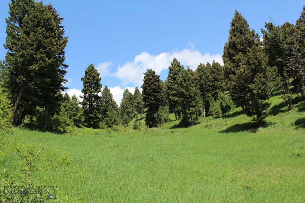 14815 Pony Creek, Bozeman MT 59715