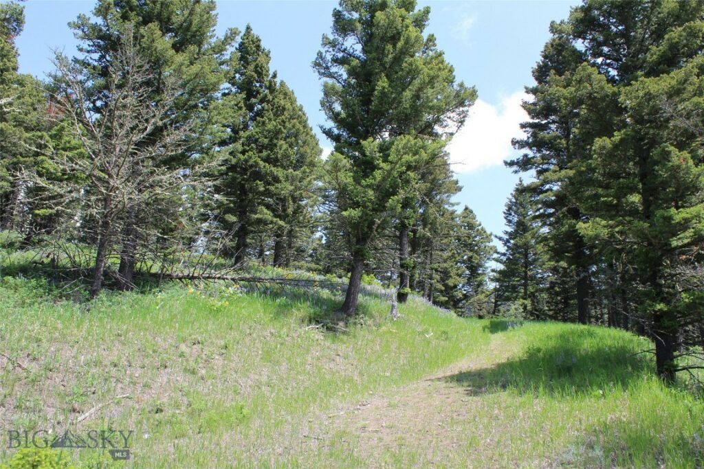 14815 Pony Creek, Bozeman MT 59715