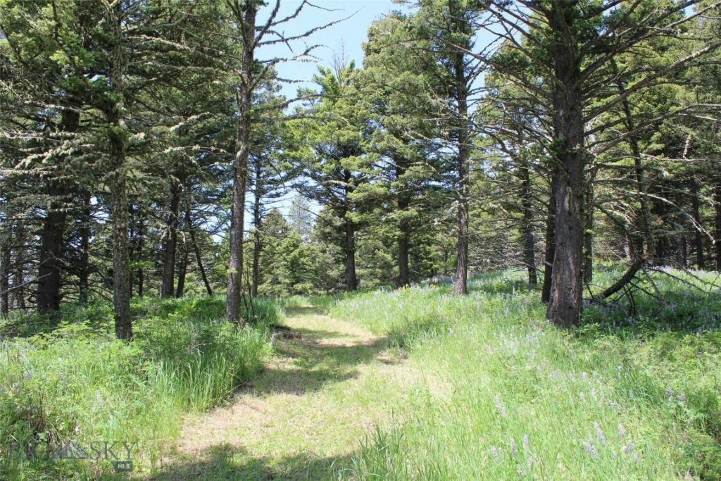 14815 Pony Creek, Bozeman MT 59715