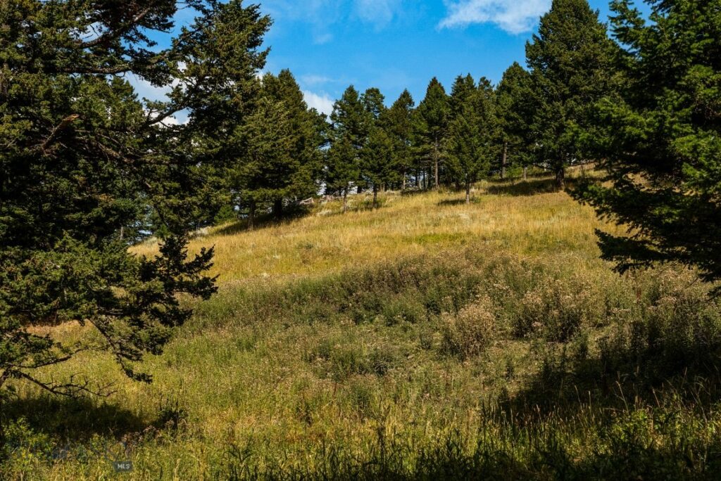 1859 Bridger Woods Road, Bozeman MT 59715