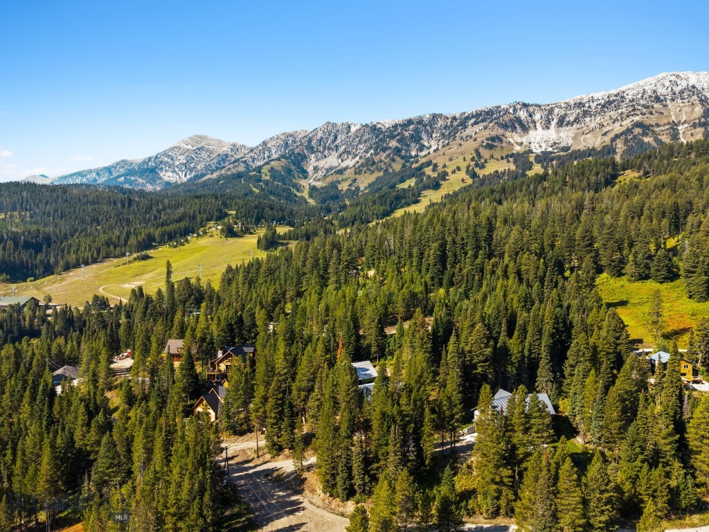 215 Wedeln Drive, Bozeman MT 59715