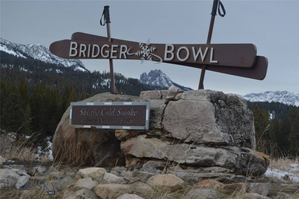 215 Wedeln Drive, Bozeman MT 59715