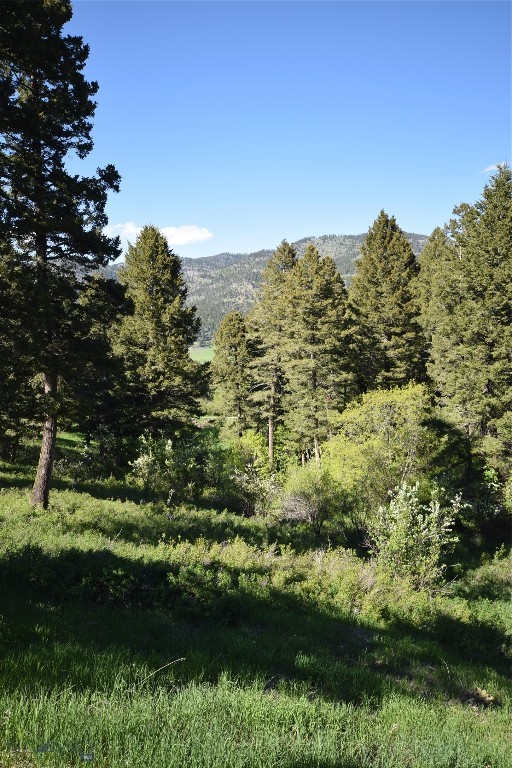 4786 Aspen Lane, Bozeman MT 59715