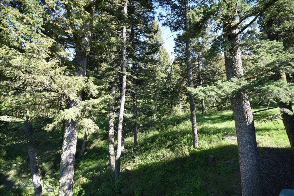 4786 Aspen Lane, Bozeman MT 59715