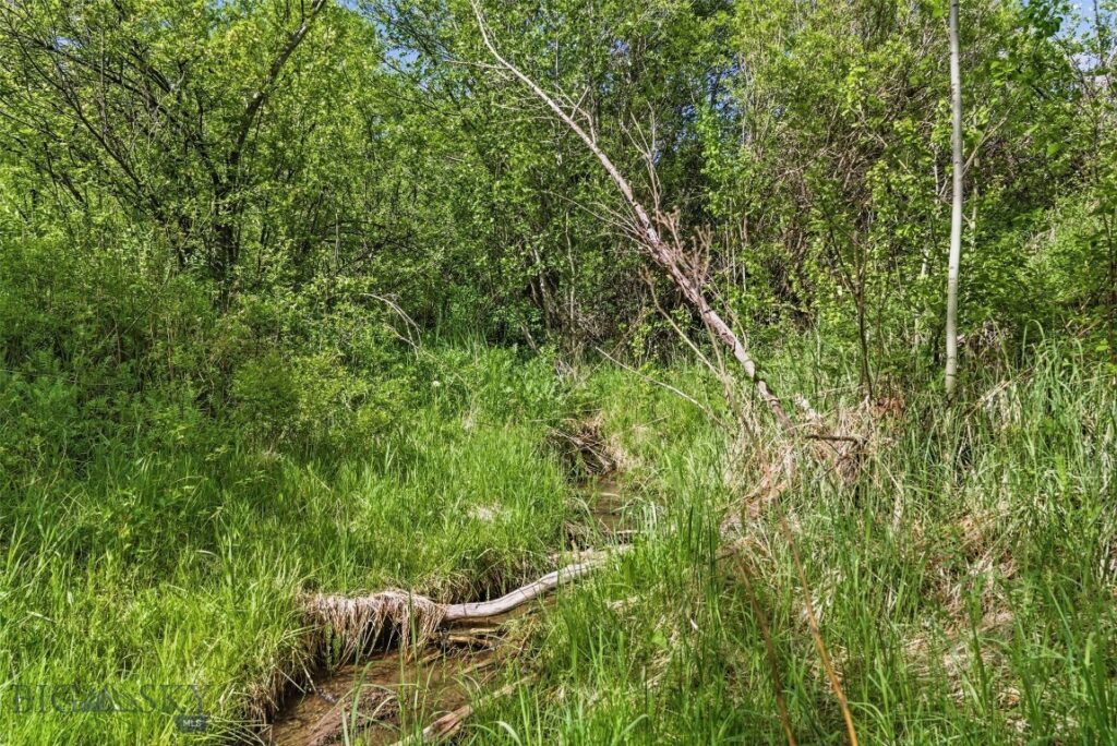 761 Sunny Bear Road, Bozeman MT 59715