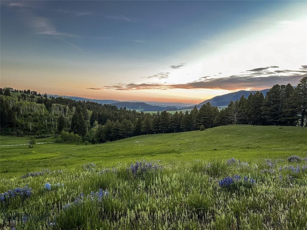 900 Cloud Nine Road, Bozeman MT 59715