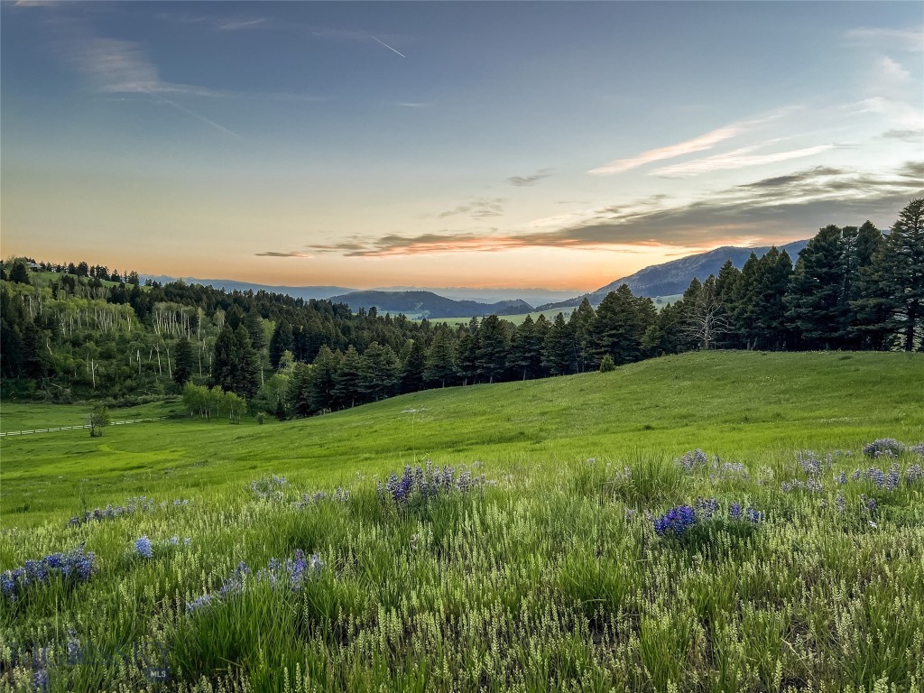 900 Cloud Nine Road, Bozeman MT 59715