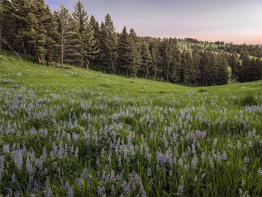 900 Cloud Nine Road, Bozeman MT 59715