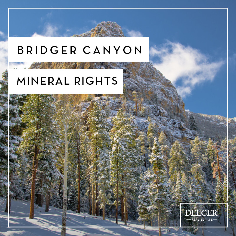 Bridger Canyon Mineral Rights DELGER REAL ESTATE BRIDGER CANYON