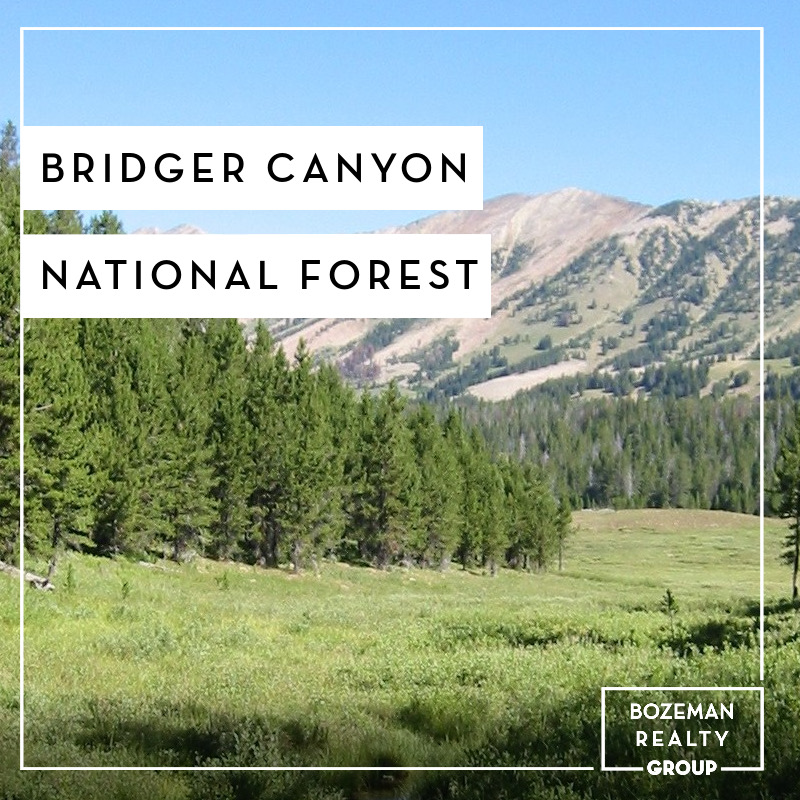 Bridger Canyon National Forest DELGER REAL ESTATE BRIDGER CANYON