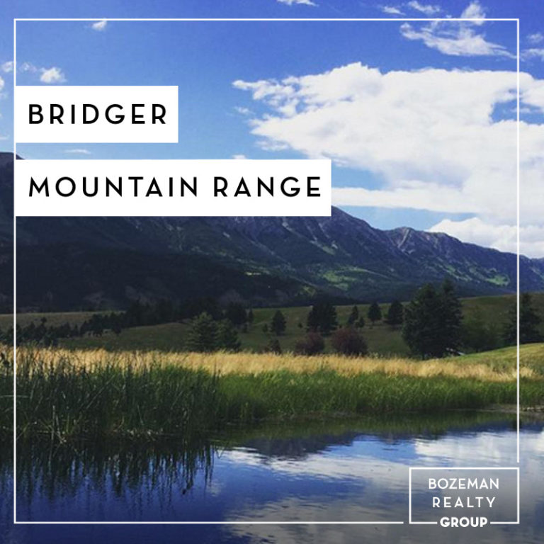 Bridger Mountain Range DELGER REAL ESTATE BRIDGER CANYON