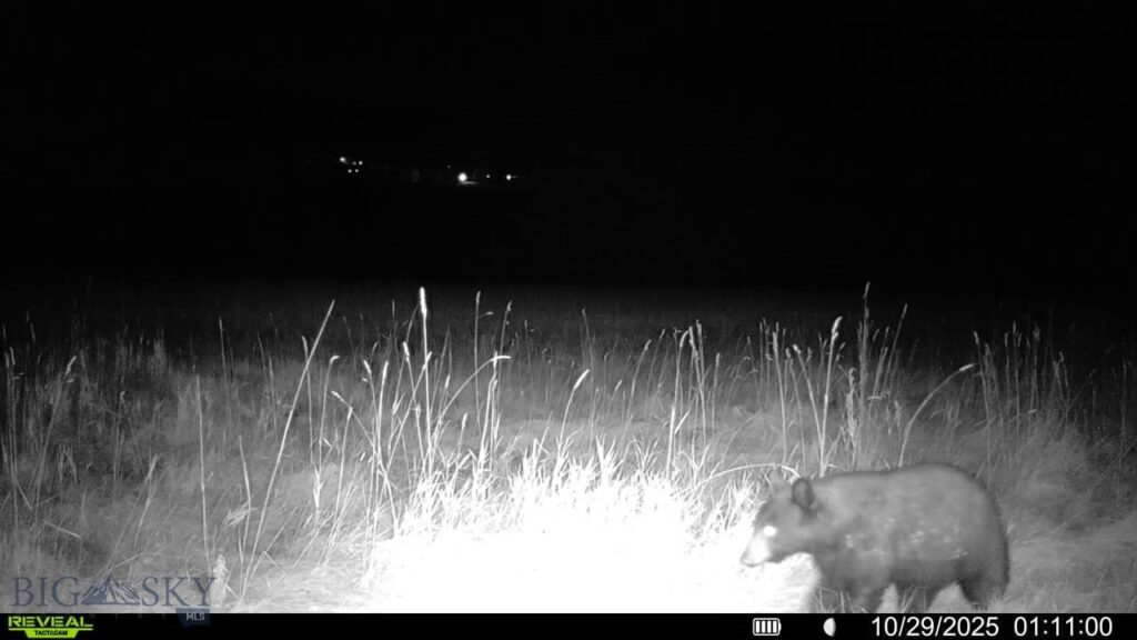 3592 Bridger Canyon Road, Bozeman MT 59715