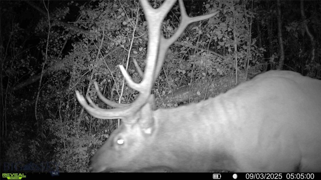 3592 Bridger Canyon Road, Bozeman MT 59715