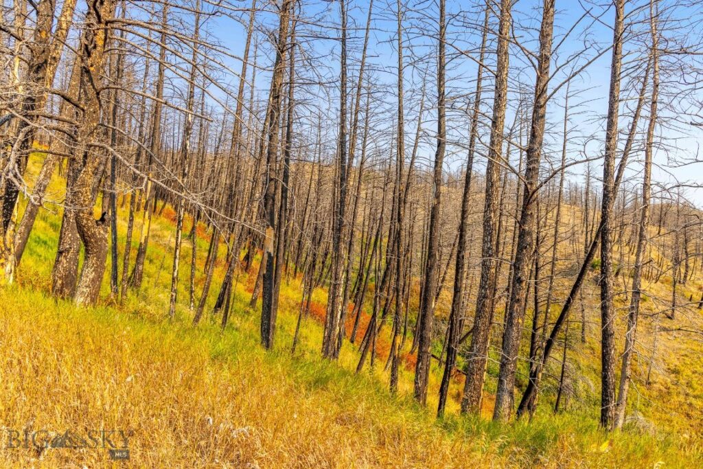 111 Bridger Spring Trail, Bozeman MT 59715