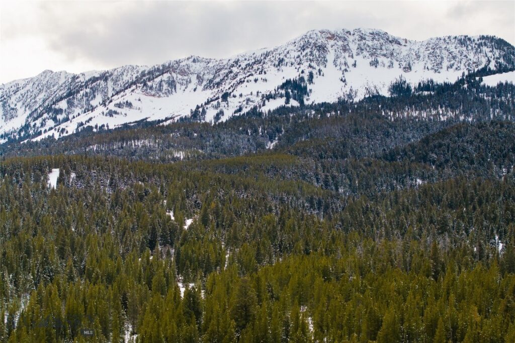 107 Winter Lane, Bozeman MT 59715