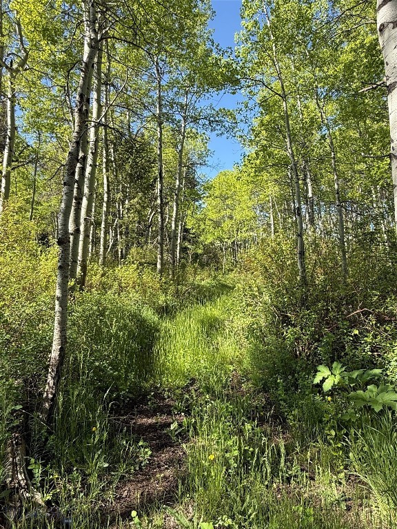3030 Bridger Canyon Road, Bozeman MT 59715