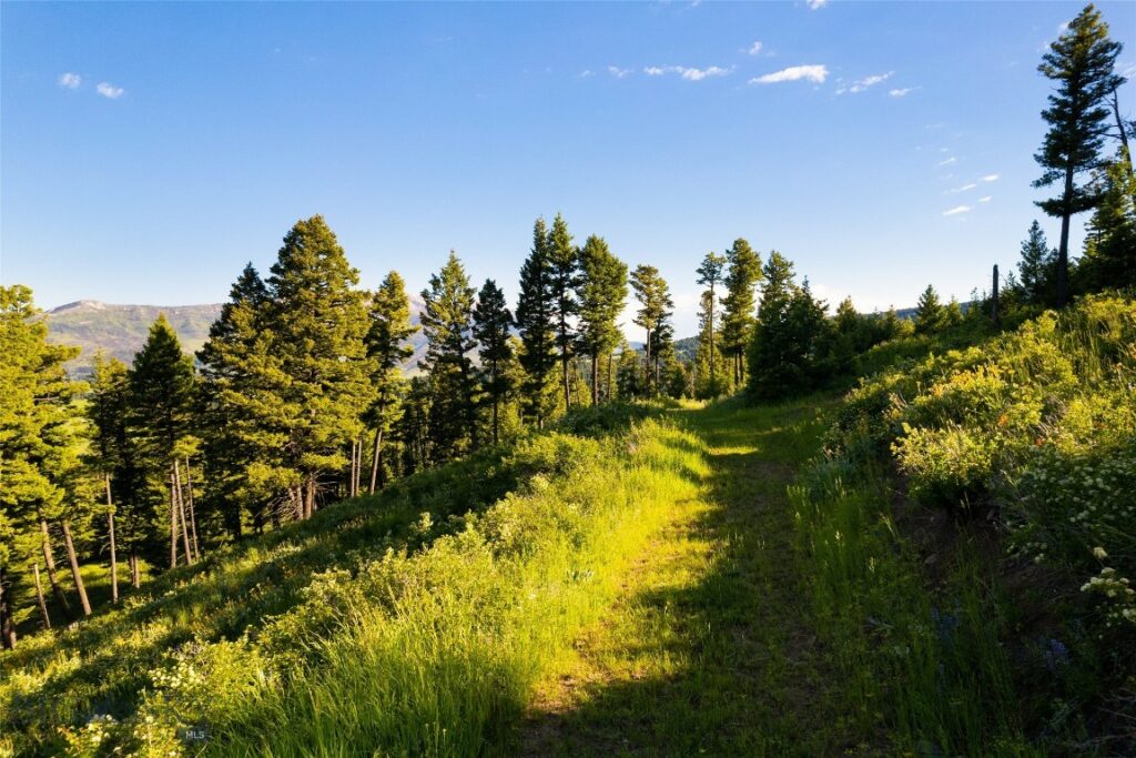 Ranch 2 North Pass Ranches, Bozeman MT 59715