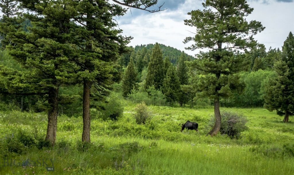 Ranch 3 North Pass Ranches, Bozeman MT 59715