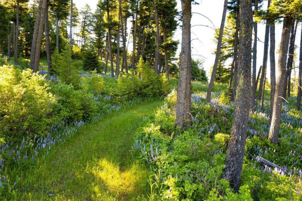 Ranch 4 North Pass Ranch, Bozeman MT 59715