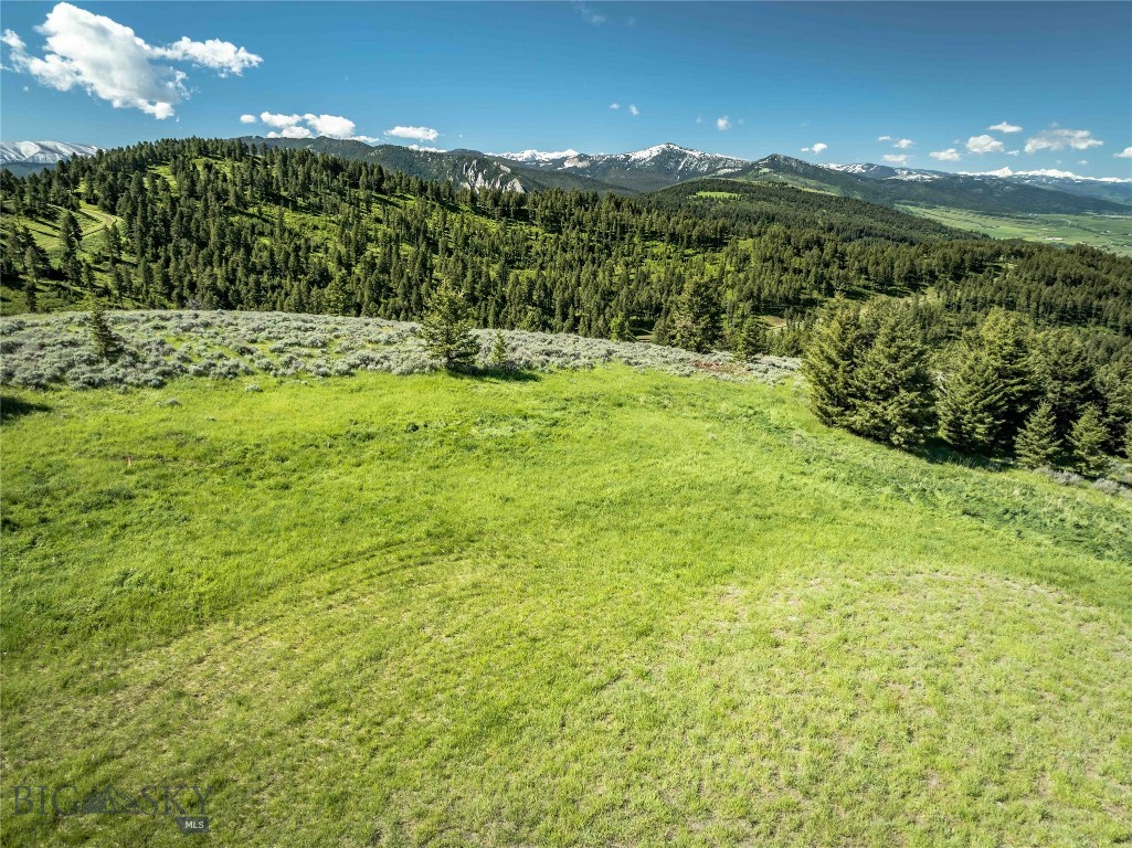 Ranch 6 North Pass Ranches, Bozeman MT 59718