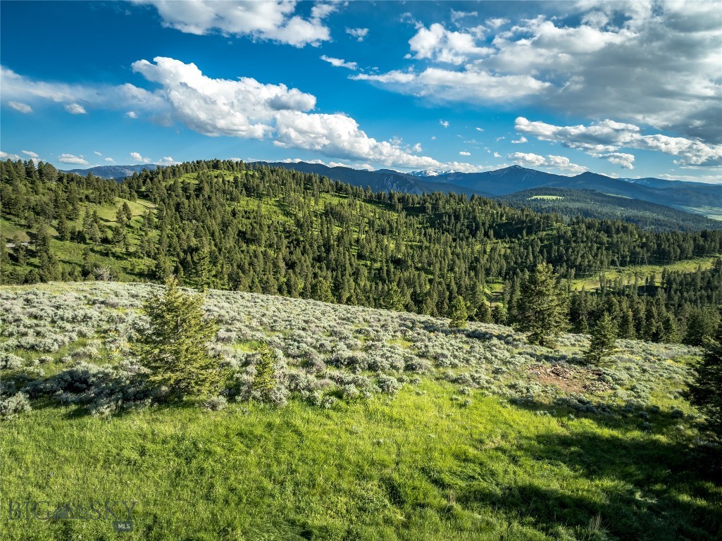 Ranch 6 North Pass Ranches, Bozeman MT 59718