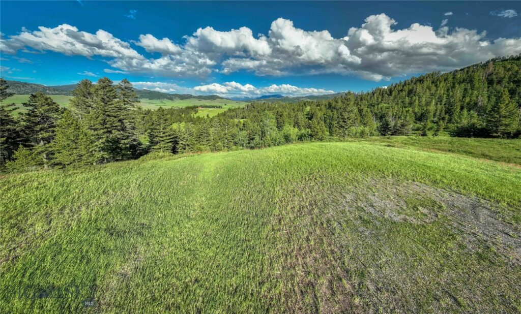 Ranch 8 North Pass Ranches, Bozeman MT 59715