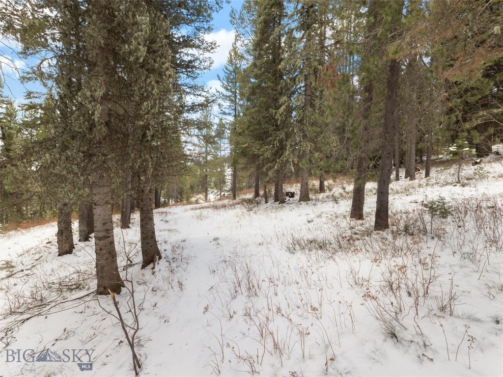 TBD Bridger Gully, Bozeman MT 59715