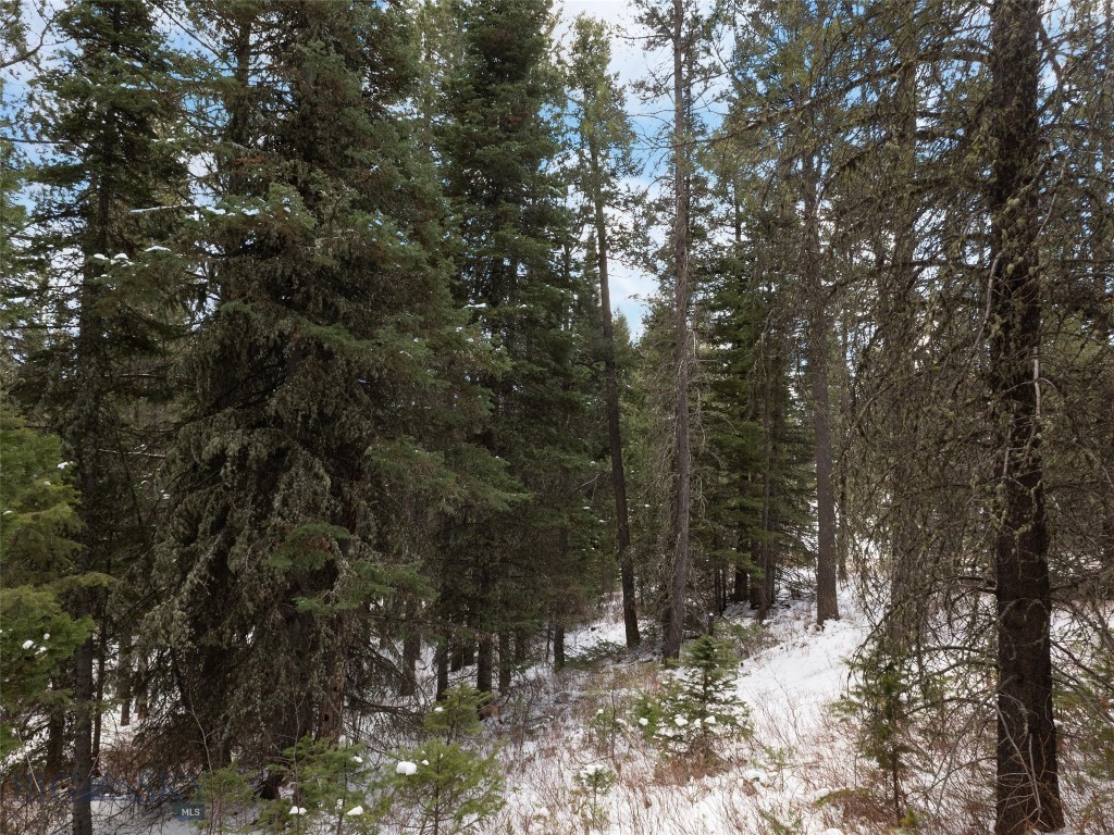 TBD Bridger Gully, Bozeman MT 59715