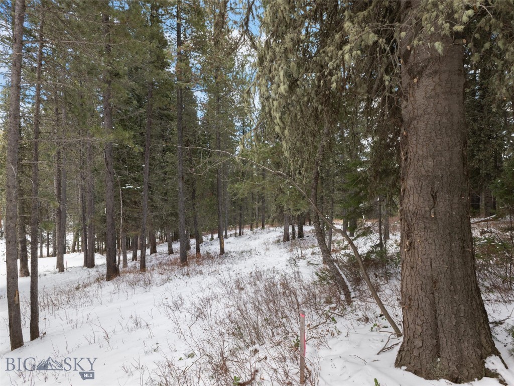 TBD Bridger Gully, Bozeman MT 59715