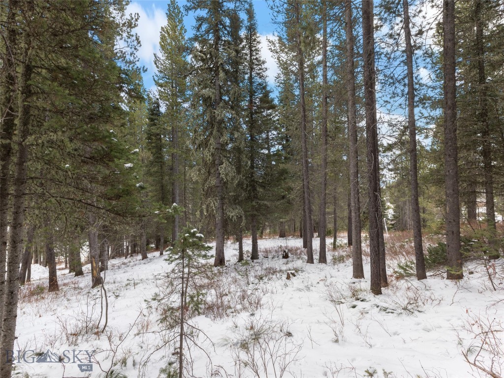 TBD Bridger Gully, Bozeman MT 59715