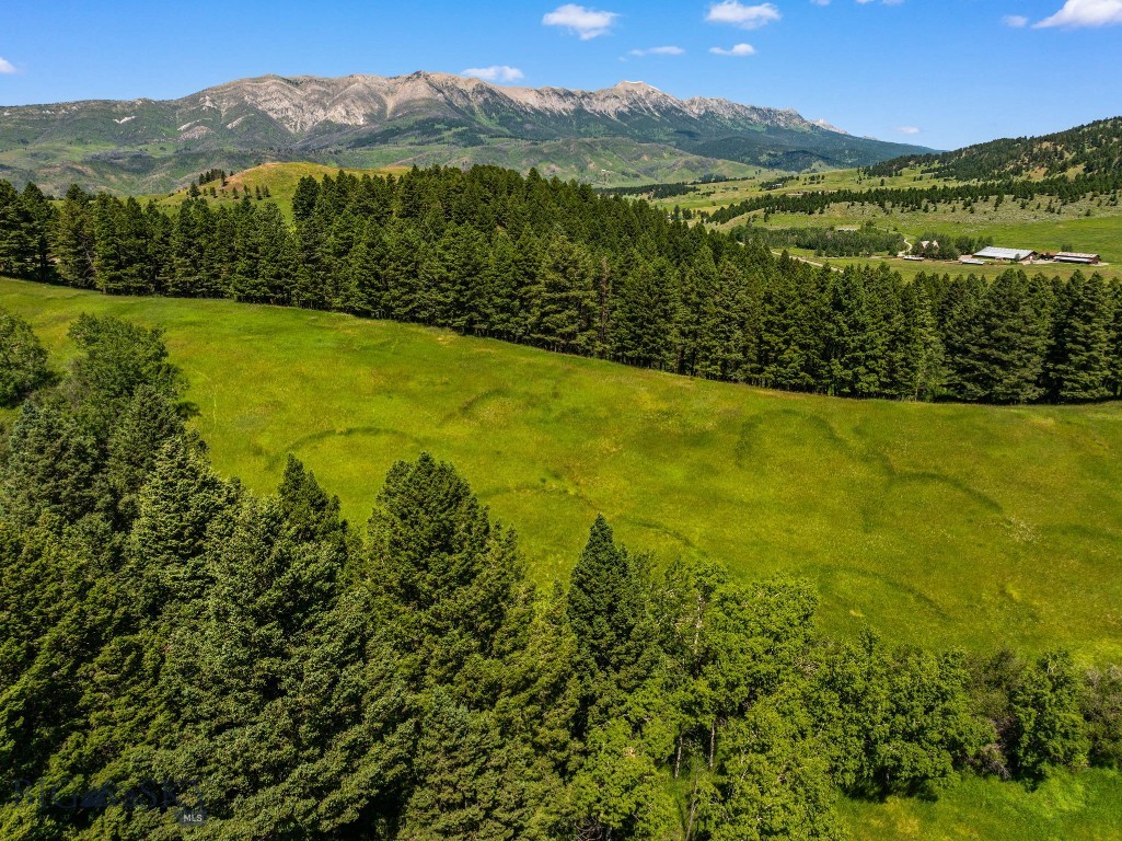 TBD Jackson Creek Road, Bozeman MT 59715