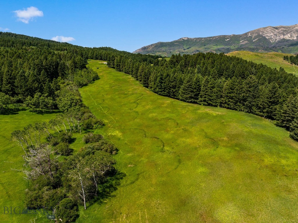 TBD Jackson Creek Road, Bozeman MT 59715