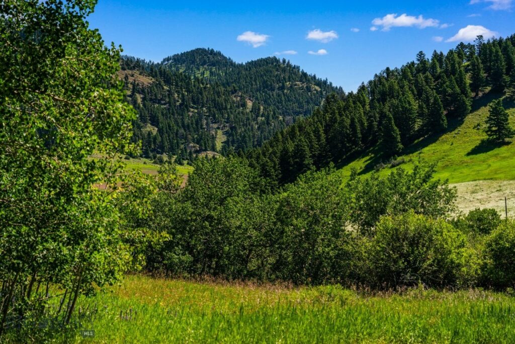 TBD Jackson Creek Road, Bozeman MT 59715