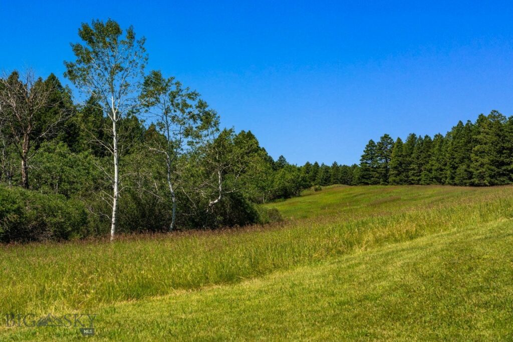 TBD Jackson Creek Road, Bozeman MT 59715